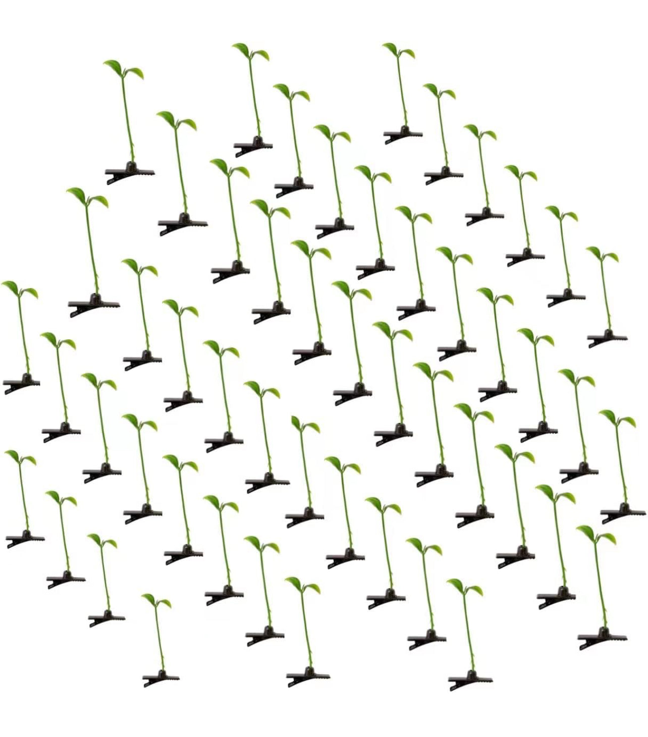 Sprout Clips (50 Pack)